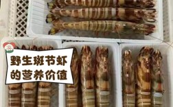 斑节虾养殖技术如何致富？