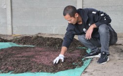 冬天养殖蚯蚓如何保温越冬？