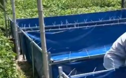 黄鳝网箱养殖技术视频有哪些要点？