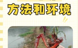 家庭小龙虾养殖技术要点有哪些？