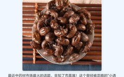 2025年知了市场价格会涨还是跌？