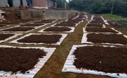 牛场蚯蚓养殖技术要点有哪些？