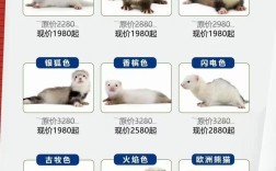 2025年貂皮最新价格行情如何？