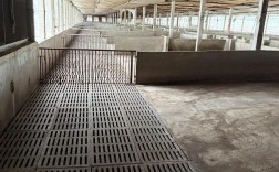 农村猪养殖技术方法有哪些要点？