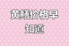 黄鳝今日批发价多少钱一斤？