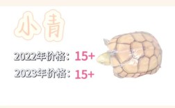 2025年龟价会涨还是跌？