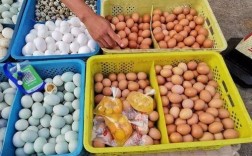 大连鸡蛋今日批发价多少？