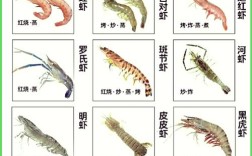 水产健康养殖技术标准有何关键要点？