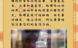 江苏卫视刺猬养殖技术有何秘诀？