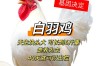 白羽鸡817最新价格多少钱一斤？
