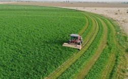 牧草都有哪些种植技术