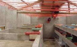 不用粪便，蝇蛆用什么养殖？