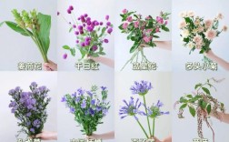 花卉品种名称大全有哪些？