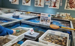 2025无锡梭子蟹价格会涨还是跌？