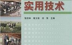 小说里的奶牛养殖技术，藏着啥秘密？