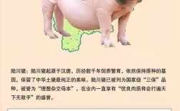 猪品种图片哪里找最全？