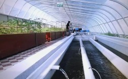 塑料桶养殖水蛭技术可行吗？