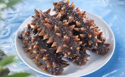 霞浦海参最新价格是多少？