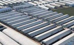 黄粉虫养殖技术视频，新手能学会吗？