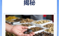 土元现在市场价格多少一斤？