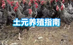 土元养殖技术士资料有哪些要点？