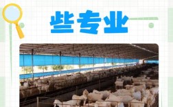 传统养殖技术有哪些？