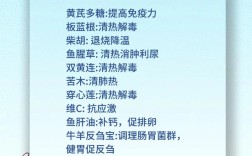 养牛技术200条，哪些是新手必学关键？