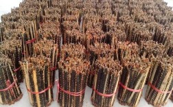 2025年蜈蚣收购价多少钱一斤？