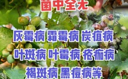 葡萄病虫害防治新技术有哪些关键突破？