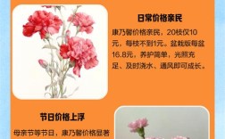 康乃馨价格怎么查？有哪些品种？