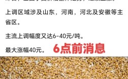 2025年山东小麦价格会涨还是跌？