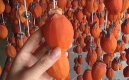 韩国柿子品种有哪些？