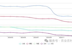 2025水稻价格会涨还是跌？