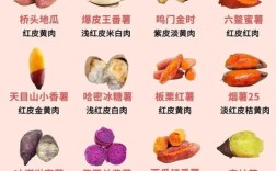 甘薯普薯32品种介绍