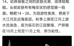 鲟鱼养殖的关键技术难点与高效管理方法有哪些？