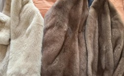 10月10日狐狸皮价格多少钱？