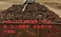 发酵粪便喂猪技术可行吗？