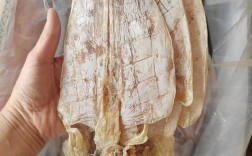 2025年鱿鱼价格会涨还是跌？