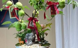 苹果盆景怎么种？视频教你技巧！