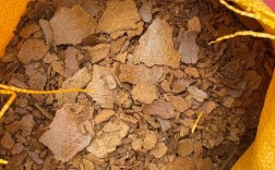 2025菜籽饼最新价格多少钱一斤？