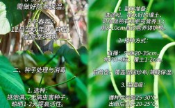 秋季长豆角如何高产种植？