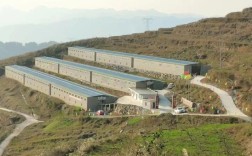 哪里可以学养羊 技术