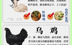 哪种鸡品种营养最优质？