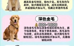 养狗赚钱吗？热门狗品种有哪些？