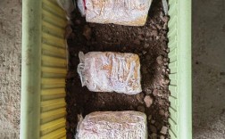 夏季室内如何种好蘑菇？