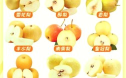 梨价最高品种是哪几种？
