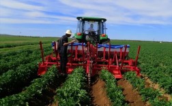 马铃薯机械种植技术视频要点有哪些？