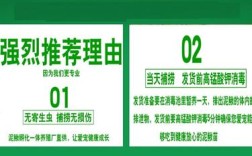 东北养殖台湾泥鳅技术