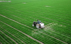 小麦高产栽培技术视频有哪些要点？