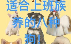 什么品种狗养殖最赚钱？